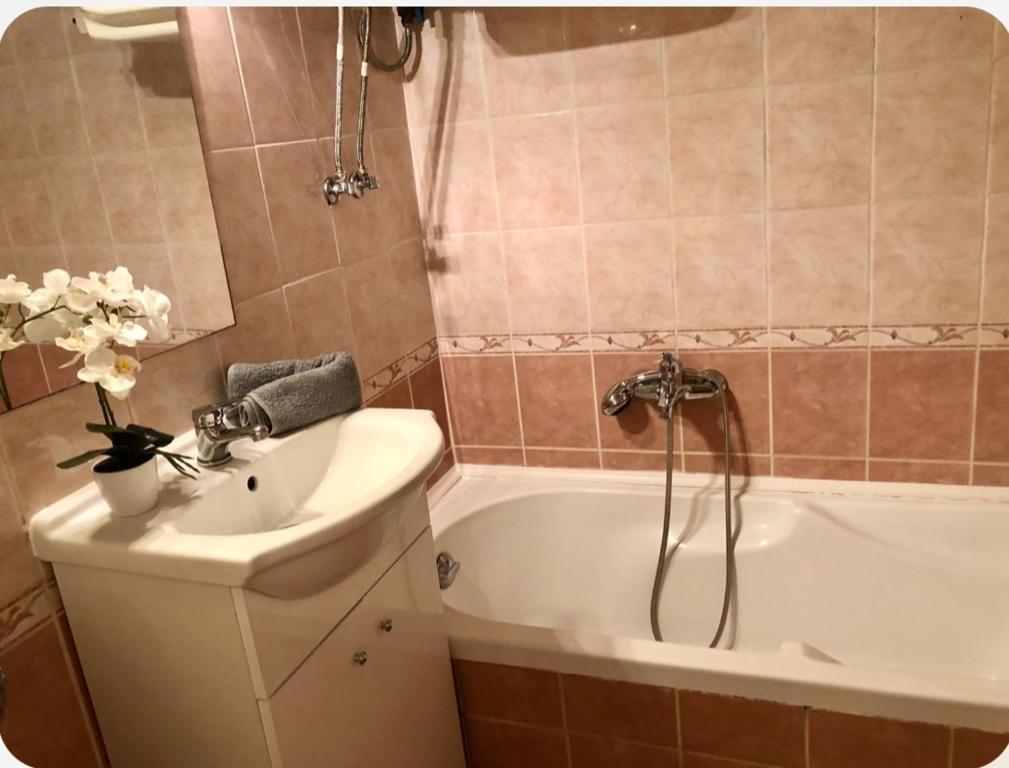 Sunny Buda Apartment 1117 Budapest, Bocskai út kép - 1