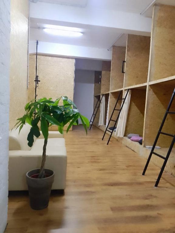 BUDGET Apt Dresden Trainstation - Fox Box - Resim 18