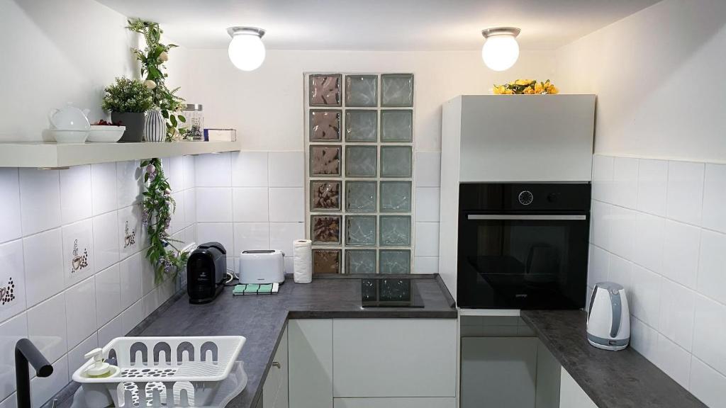 A kitchen or kitchenette at City Centre Synagogue Residential Apartment Budapest