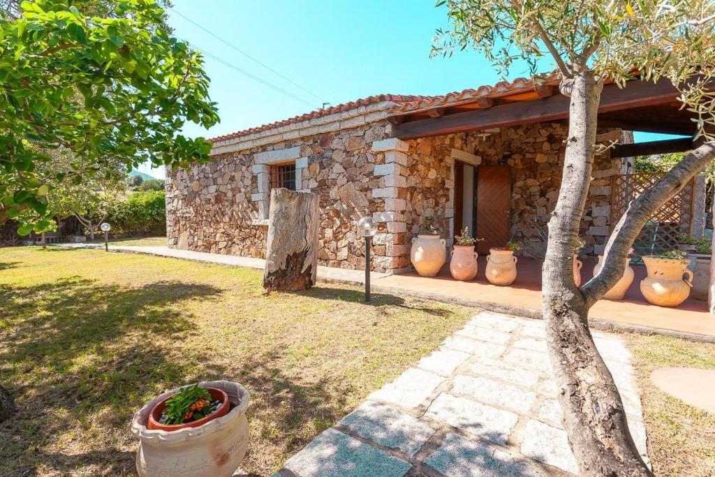 Gallery image of B&B Pettirosso Garden in San Teodoro