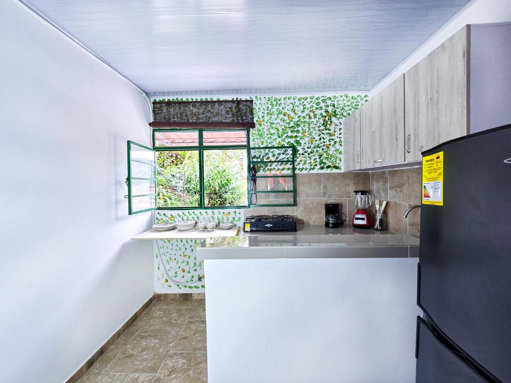 Kuchyň nebo kuchyňský kout v ubytování Casa Tulipán