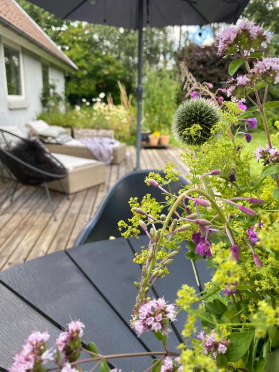 Zahrada ubytování Højvangen