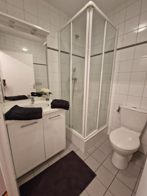 une salle de bain blanche avec toilettes et douche dans l'établissement Studio cosy, à Lyon