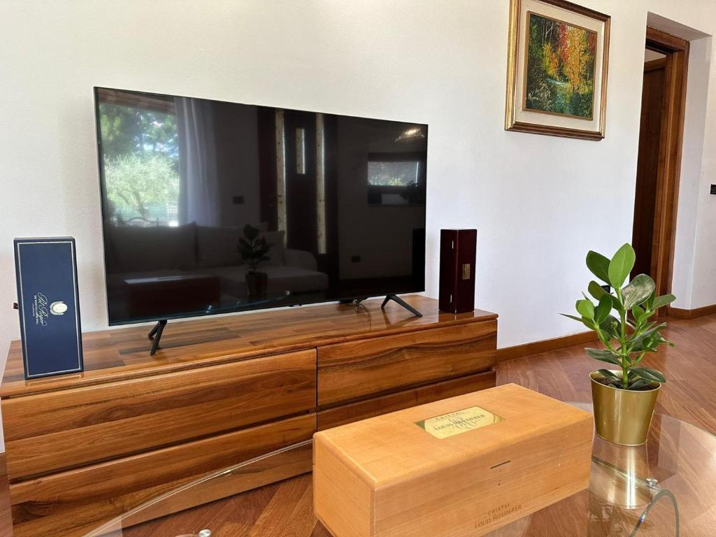 TV a/nebo společenská místnost v ubytování Villa Aurora in Erbusco-Franciacorta