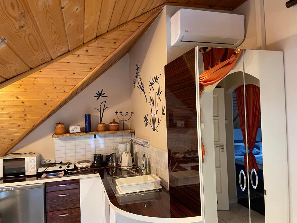 Kuchyň nebo kuchyňský kout v ubytování Villa Éden