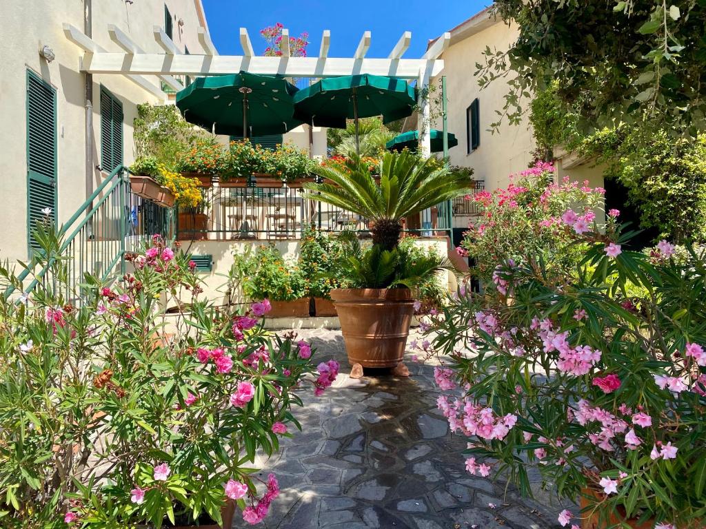 Сад в Belvedere Residenza Mediterranea