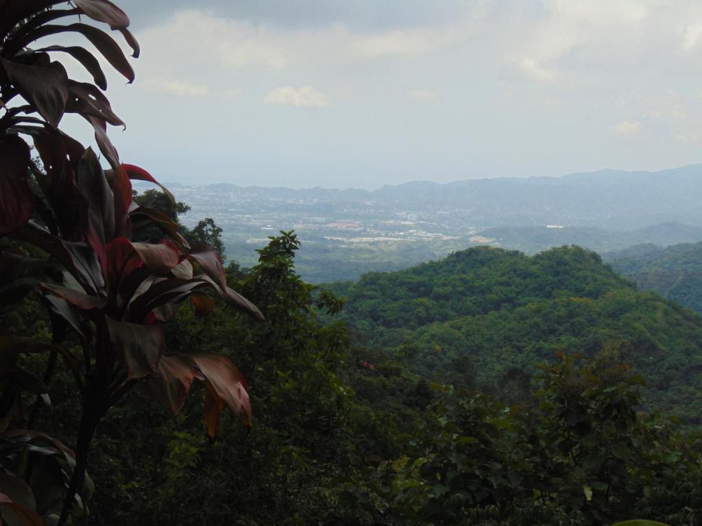 Un paisaje natural cerca of the country house