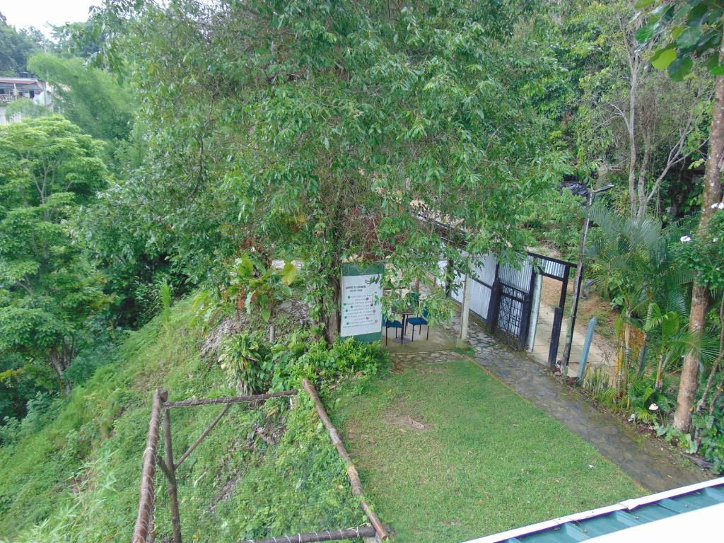 Un jardín fuera de Dunarinka