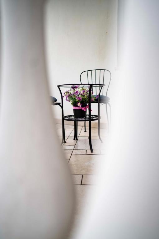 Fotografie z fotogalerie ubytování Suite Petra v destinaci Numana