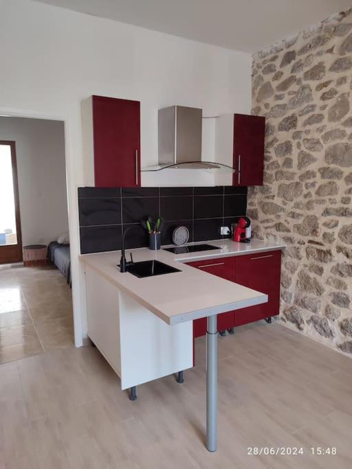 une cuisine avec un évier et un mur en pierre dans l'établissement La Porte Verte, à Capendu