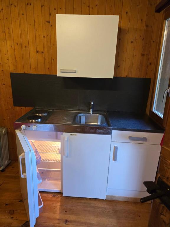 Kuchyň nebo kuchyňský kout v ubytování aschis Lodge 2