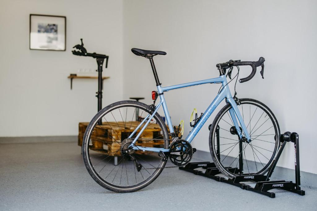 Jízda na kole v ubytování Loft Schottenau nebo okolí