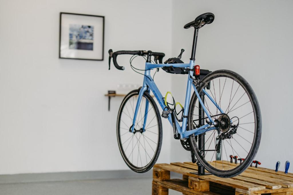 Jízda na kole v ubytování Loft Schottenau nebo okolí