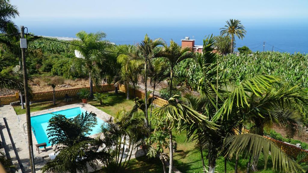 Swimmingpoolen hos eller tæt på Los Padres B