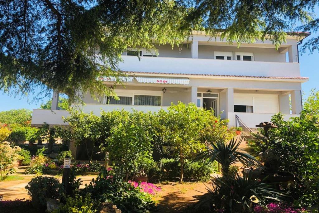 Ogród w obiekcie Pool Apartment Bakija 2 - Happy Rentals