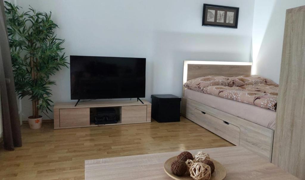 Sjónvarps- og/eða afþreyingartæki á Apartmán Na Rozhledně