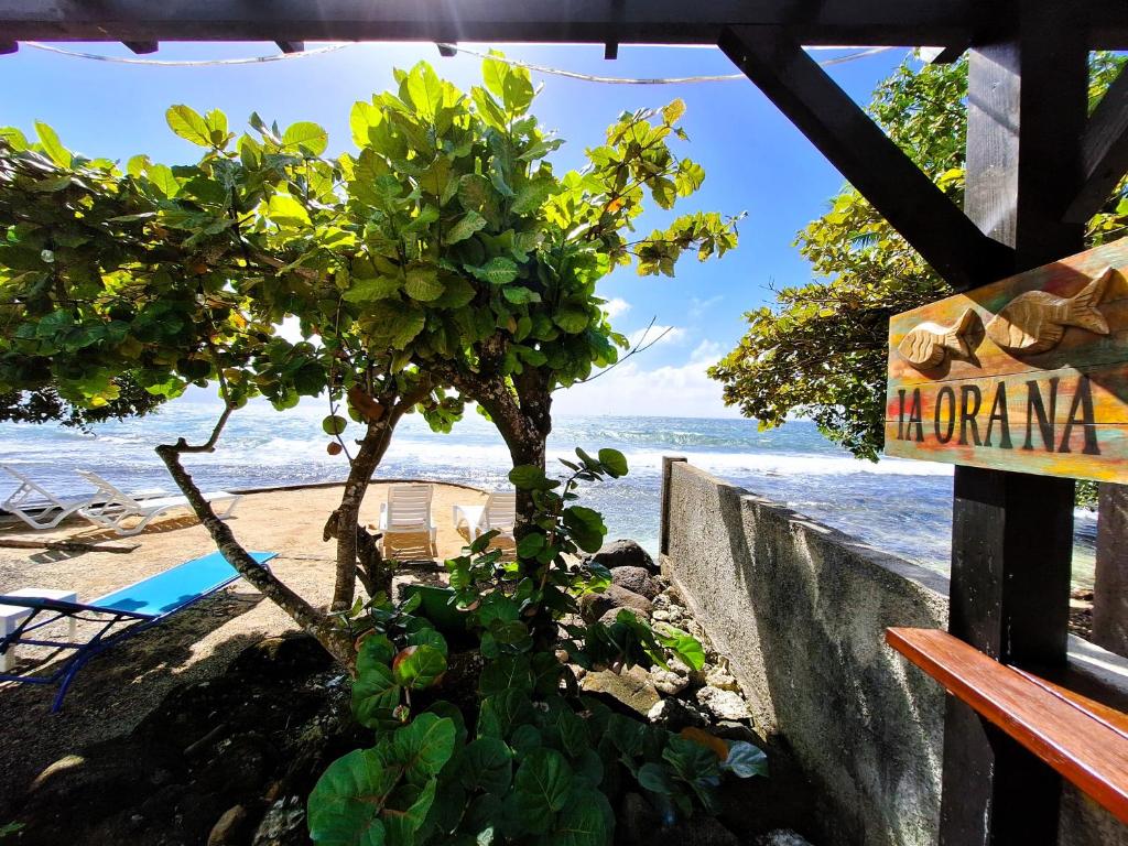 TAHITI - Fenua Chill House - photo 8 - Tahiti, Polynésie