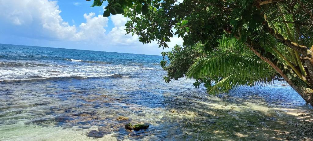 TAHITI - Fenua Chill House - photo 11 - Tahiti, Polynésie