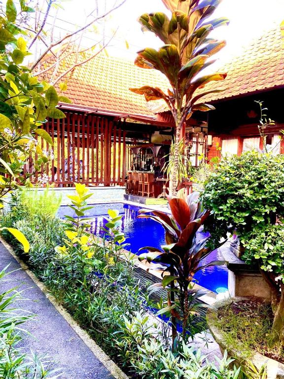 Wait Garden Cottage - 17