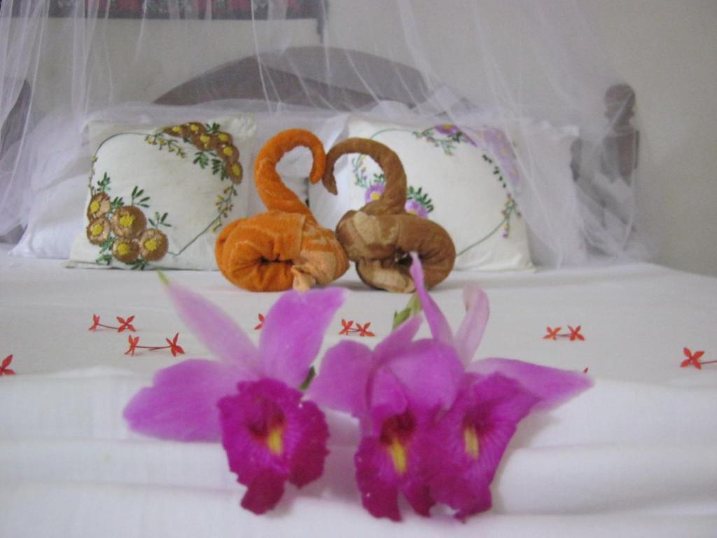 Arcade Beach Hotel - 12