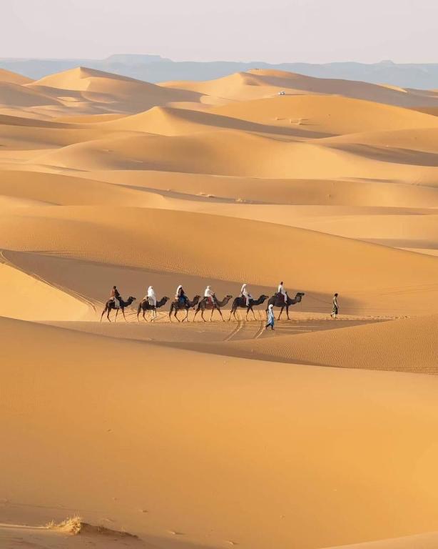Hosté ubytování Original Desert Camp