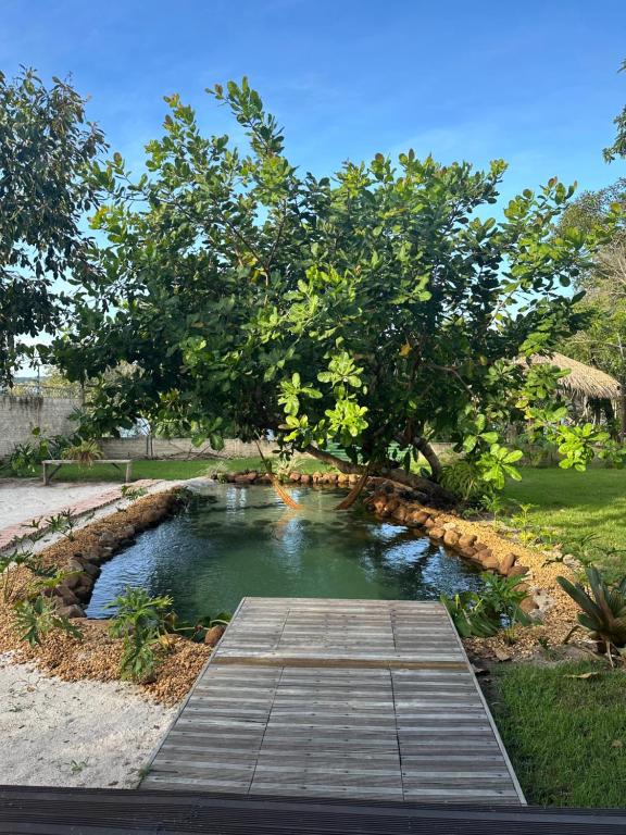 a pond with a wooden bridge in a garden at Casa do Lago em Alter do Chão in Alter do Chao