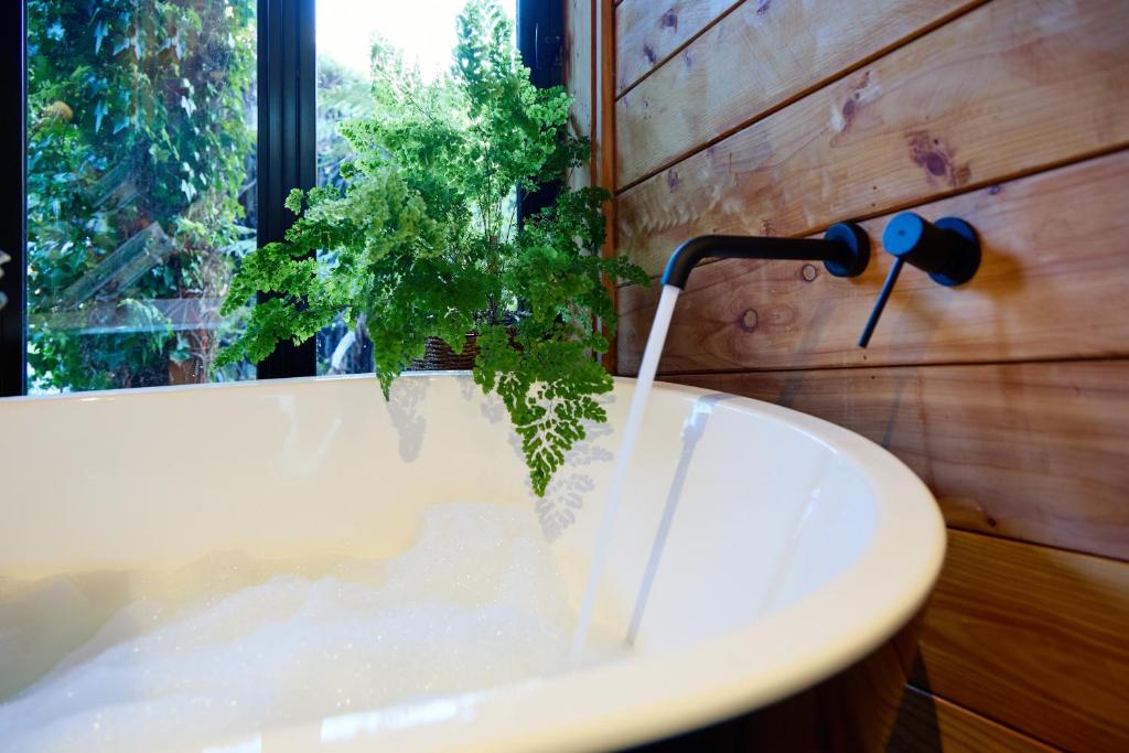 Surfwatch House - Resim 17