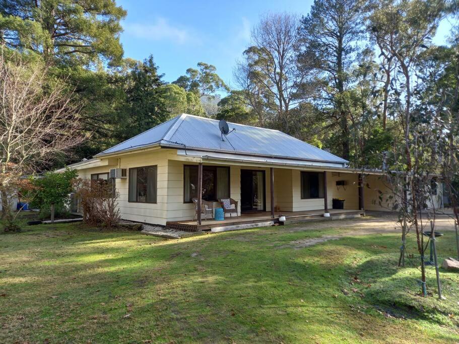 a yellow house with a metal roof on a yard at Homefield Homestead Halls Gap in Halls Gap