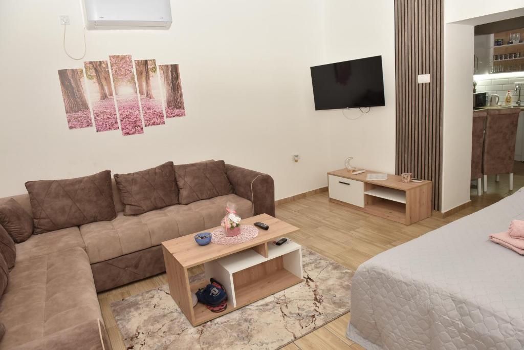 TV a/nebo společenská místnost v ubytování Dora Apartman