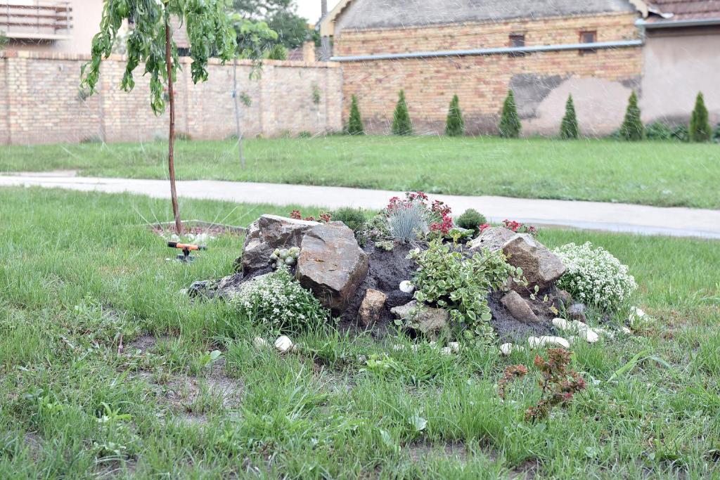 Zahrada ubytování Dora Apartman