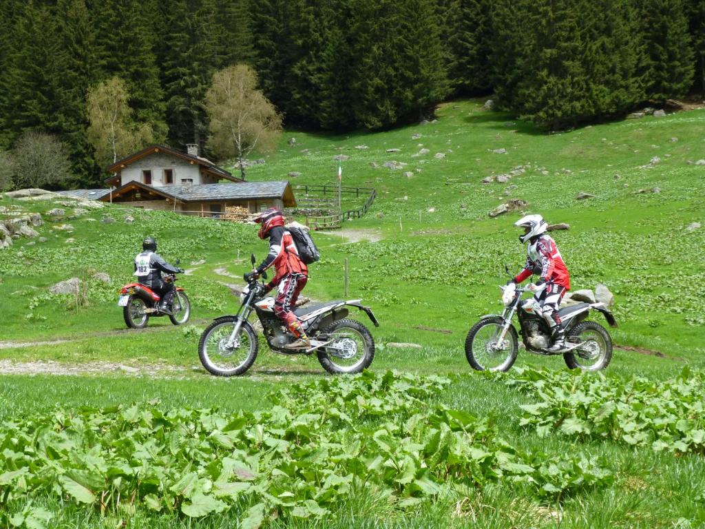 Hosté ubytování Hotel Oasi Verde
