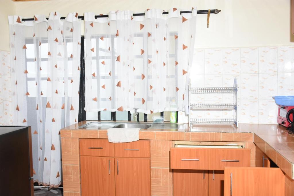 Kuchyň nebo kuchyňský kout v ubytování 2-bedroom serenity homes