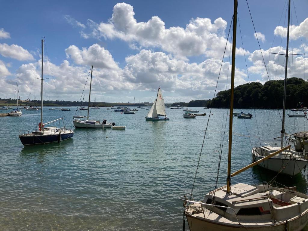 un groupe de bateaux dans une masse d'eau dans l'établissement Cadre Verdoyant & Plage à Pied, au calme, à Le Minihic-sur-Rance