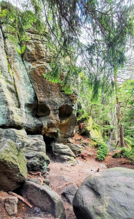 Chata Zieleniecka, Duszniki Zdrój (updated prices 2025)