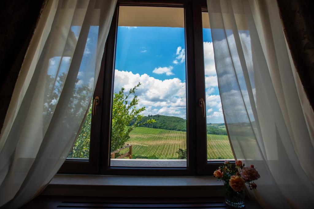 Příroda nedaleko hotelu