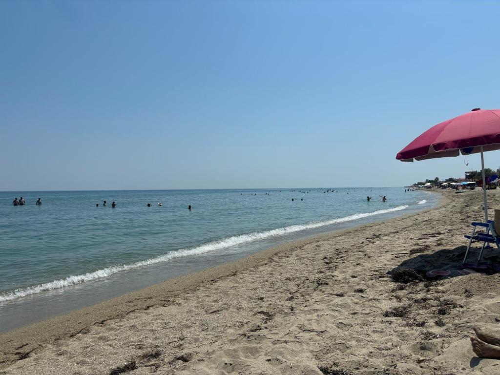 Φυσικό τοπίο κοντά σε αυτό το διαμέρισμα