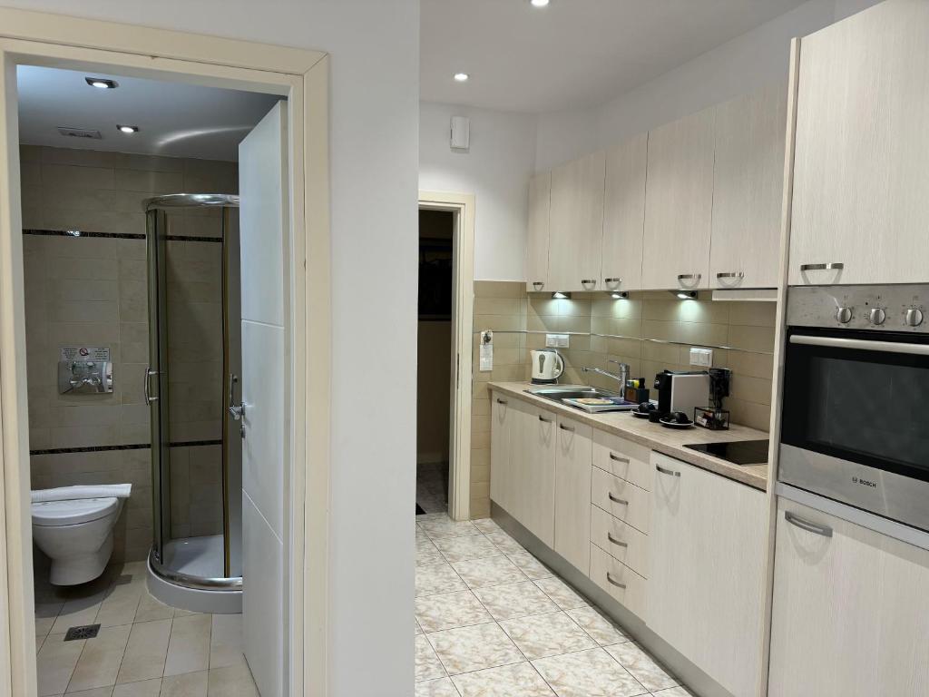 Kuchyň nebo kuchyňský kout v ubytování Rouchotas Apartments