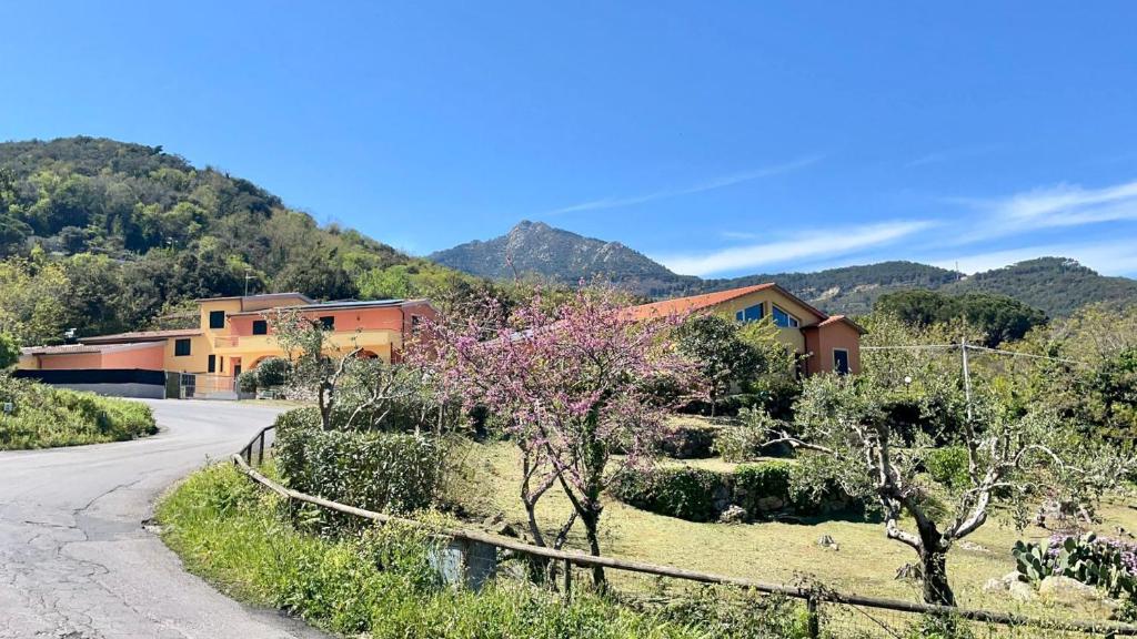 Elba Holiday Houses 2, Marciana Marina (updated prices 2024)