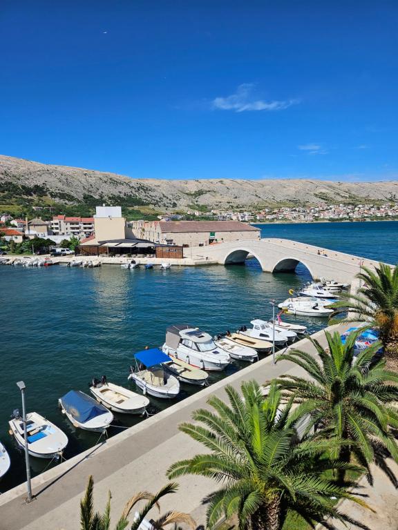 Gallery image of Apartmani Katine in Pag