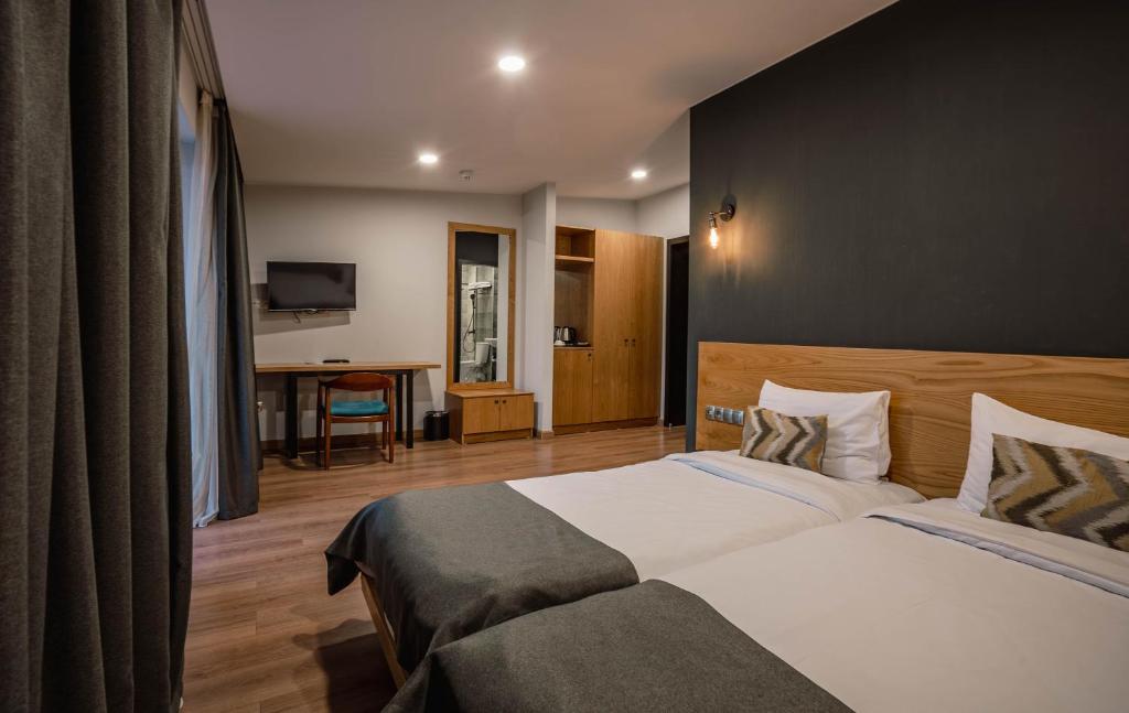 Bakuriani Inn - Twin Room Met Uitzicht Op De Bergen