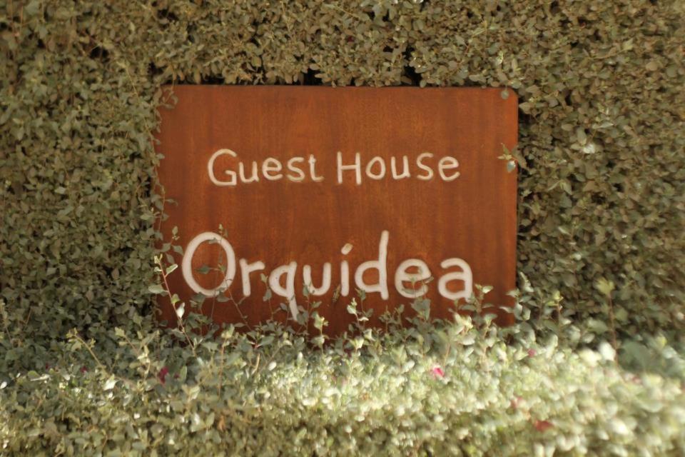 Certifikát, hodnocení, plakát nebo jiný dokument vystavený v ubytování Guest House Orquidea