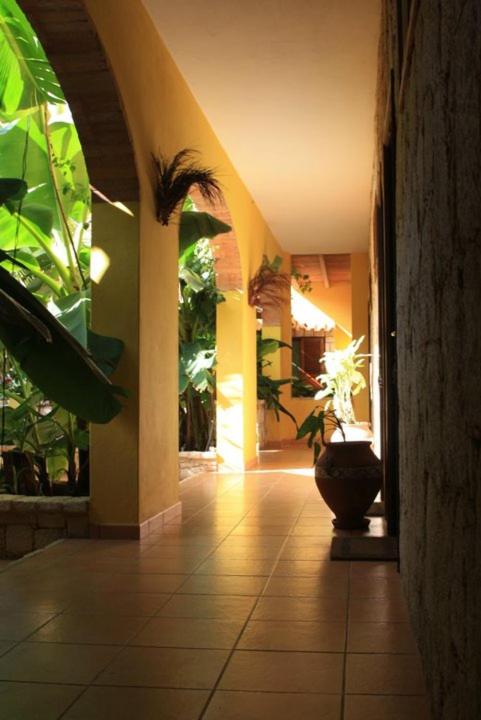 Zahrada ubytování Guest House Orquidea