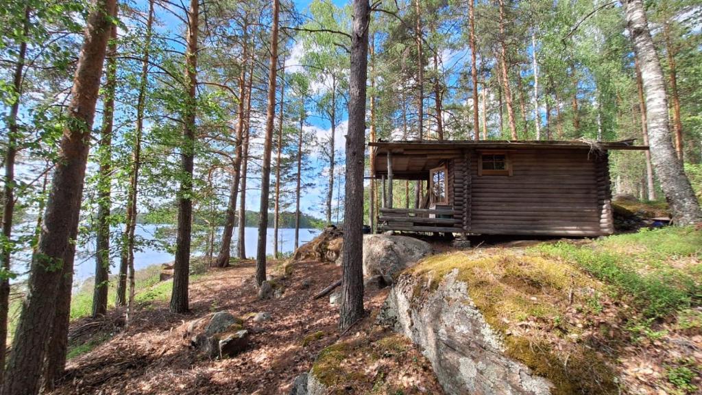 a wooden cabin in the woods next to a body of water at Metsäsydän mökki 1 Minttumaari in Puumala