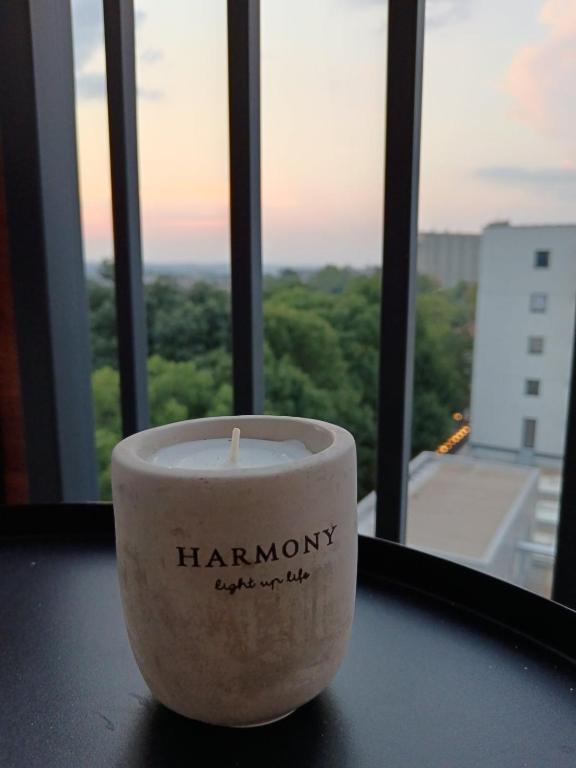 Fotografie z fotogalerie ubytování Harmony Studio Suite v destinaci Jagodina