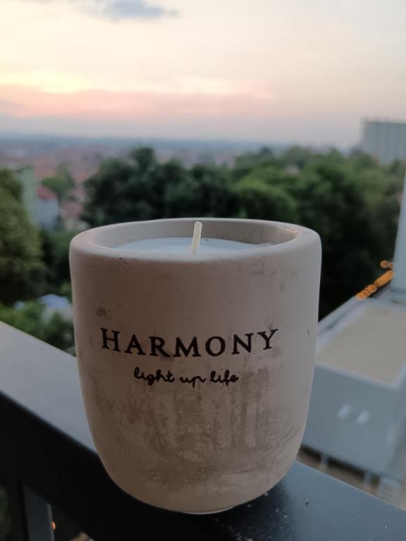 Fotografie z fotogalerie ubytování Harmony Studio Suite v destinaci Jagodina