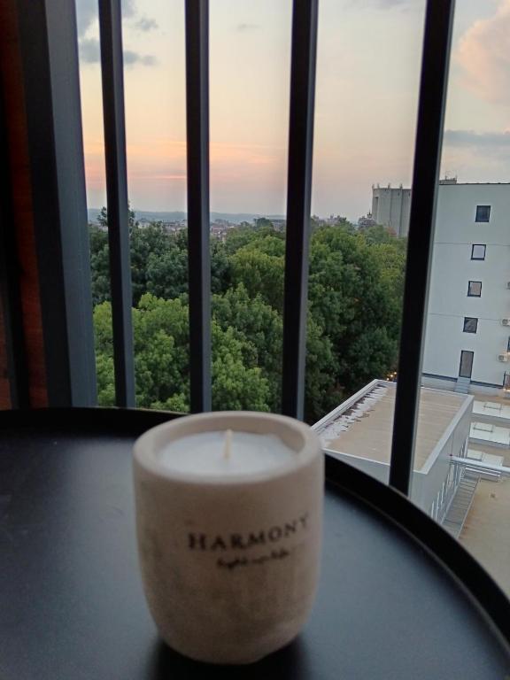 Balkón nebo terasa v ubytování Harmony Studio Suite