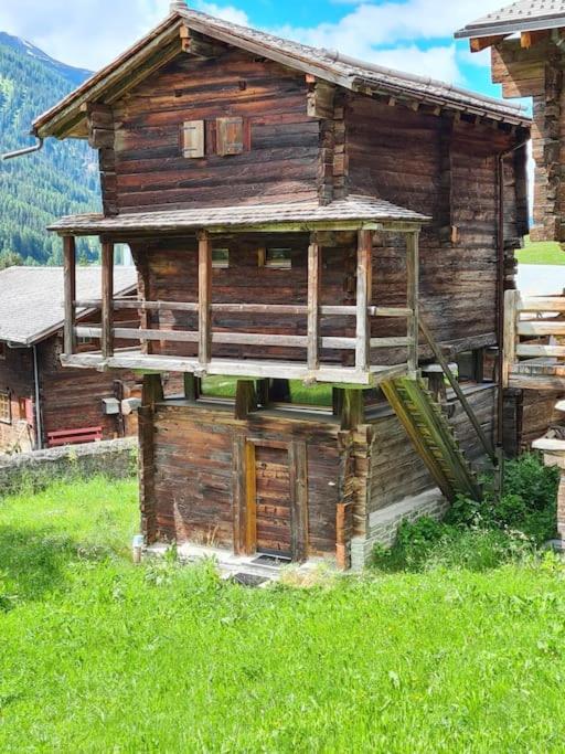 Příroda nedaleko chaty
