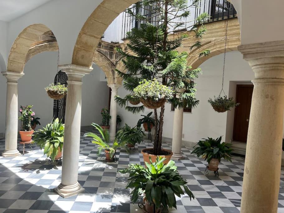 a room filled with potted plants in a building at GINVA - Dúplex en Plaza de España in El Puerto de Santa María