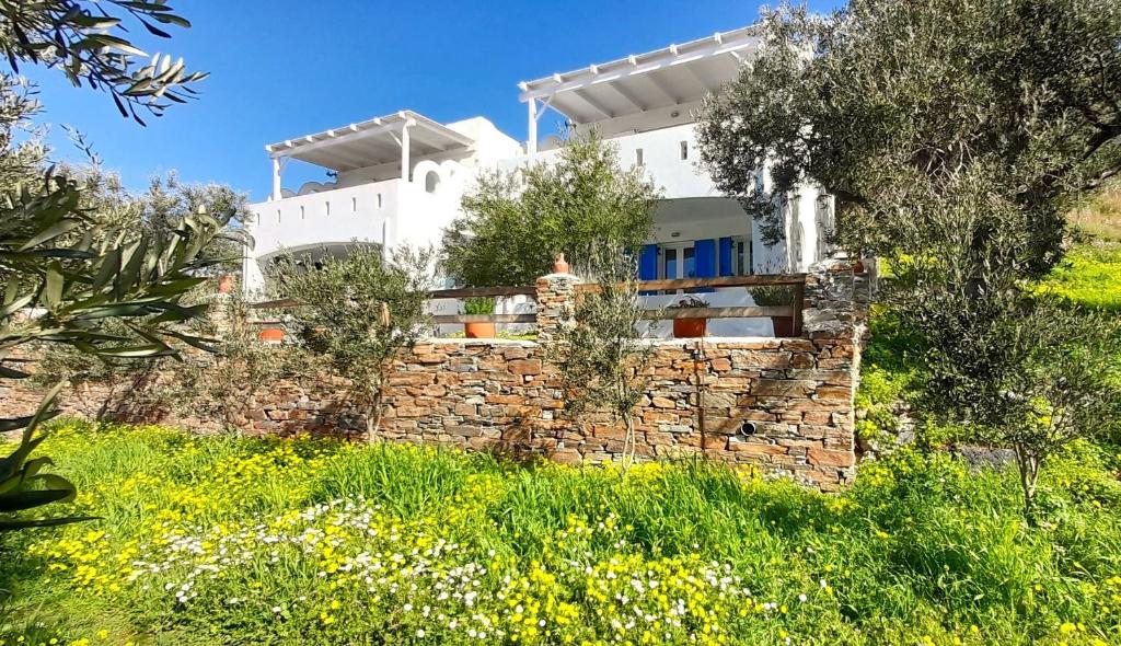 Vonkajšia záhrada v ubytovaní Aspra Chomata Villas