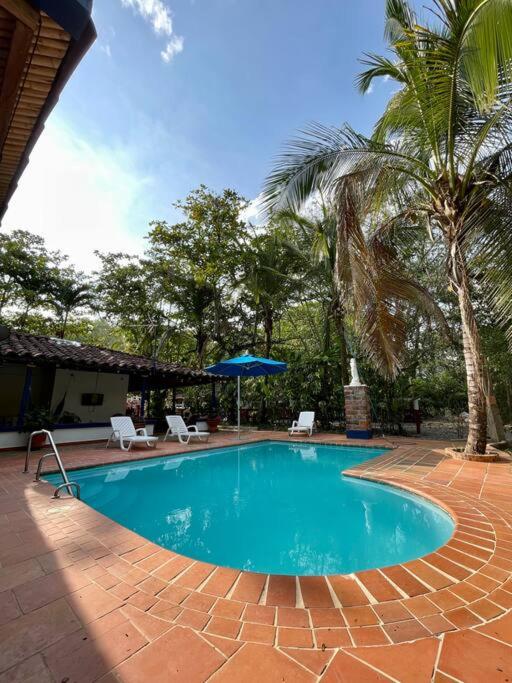 a swimming pool with two chairs and a palm tree at Paraiso del Cauca in Jericó